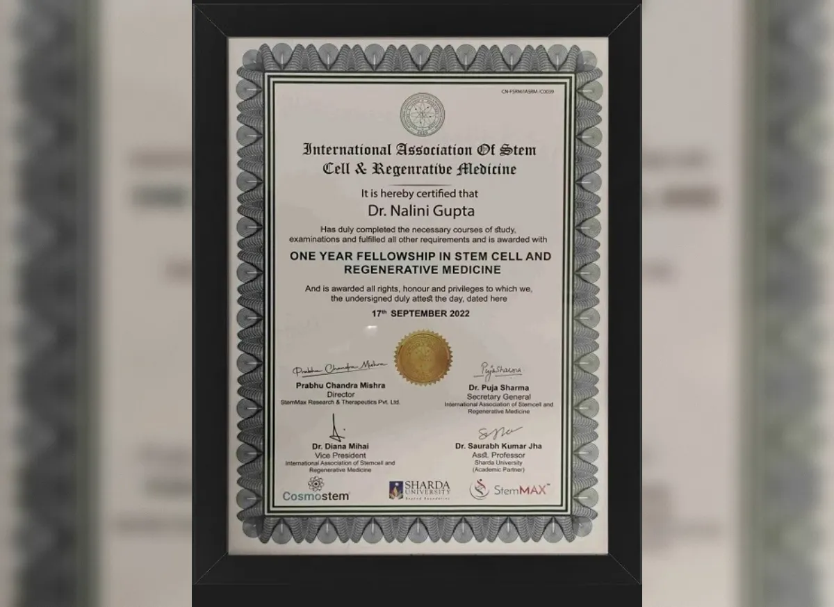 Certificate 6