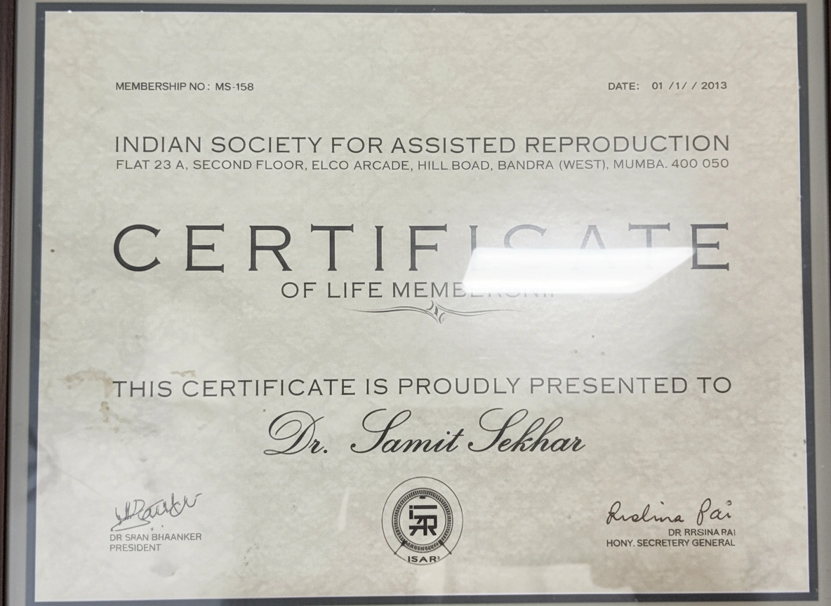 Certificate 6
