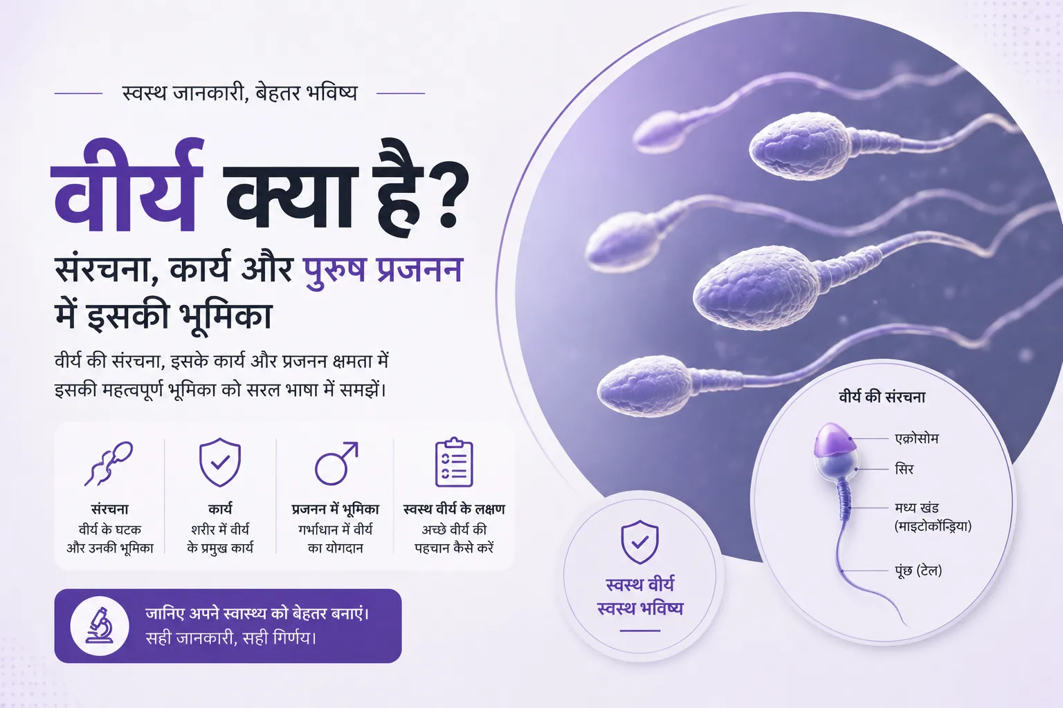 वीर्य क्या है? संरचना, कार्य और पुरुष प्रजनन में इसकी भूमिका