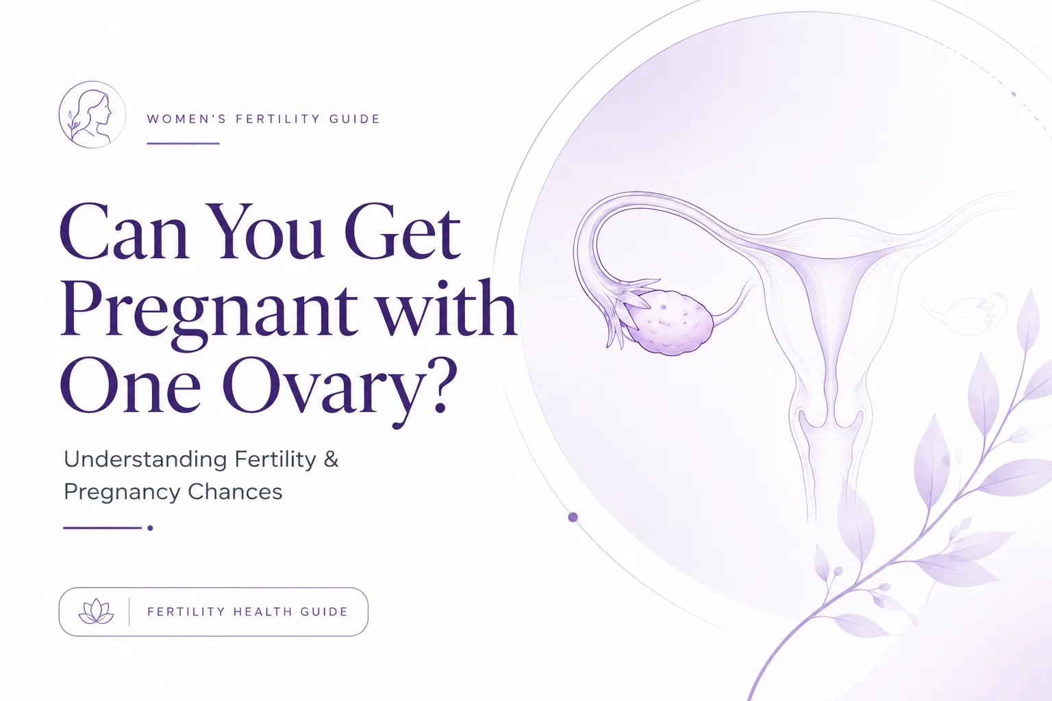 Can You Get Pregnant with One Ovary